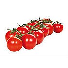 Rajčata cherry keříková I. čerstv. 1x500g